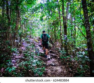 7,523 Walking Through Jungle Images, Stock Photos & Vectors | Shutterstock