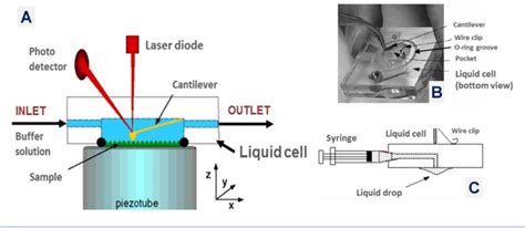 A Schematics Of An Afm Liquid Cell Set Up B Photo Of Nanoscope V