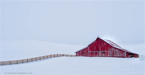 Zenfolio | www.MuraleePhotos.com | Palouse in winter