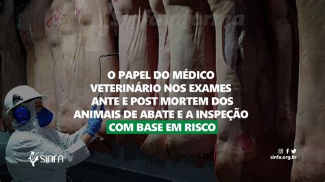 O papel do médico veterinário nos exames ante e post mortem dos animais