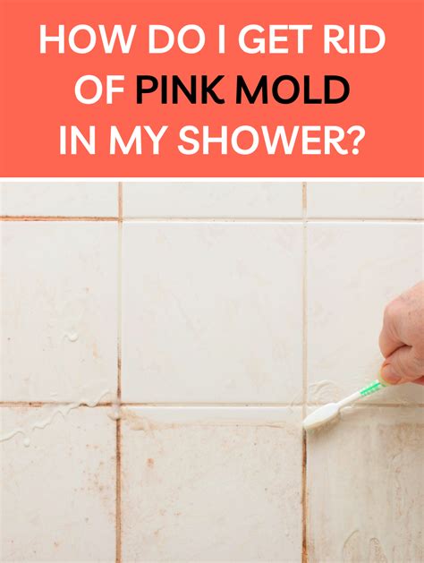 Pink Mold In Shower - Dangers, Causes & Removal [GUIDE]