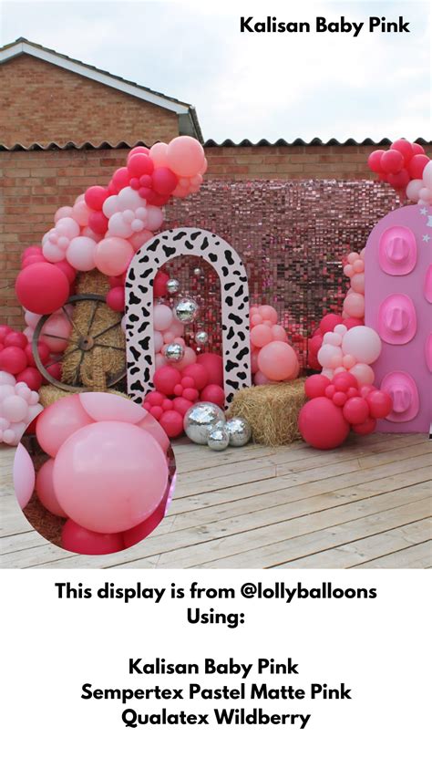 Kalisan Standard Baby Pink Pro Balloon Shop