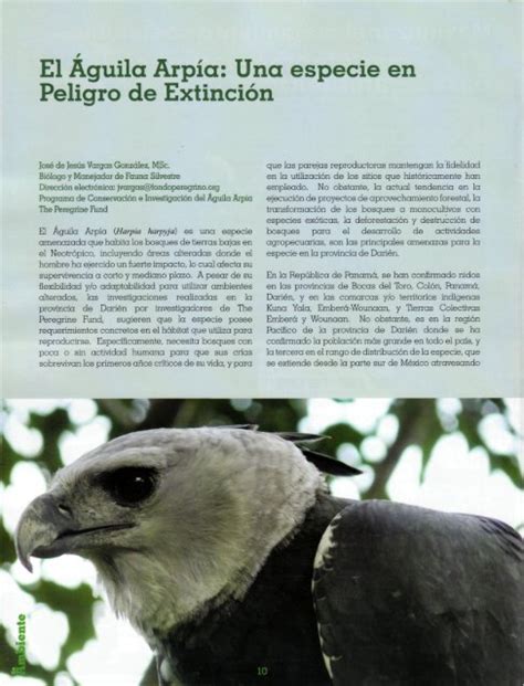 El Águila Arpía Una especie en Peligro de Extinción