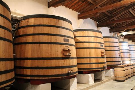 Proceso de la elaboración del vino tinto Mundobodega