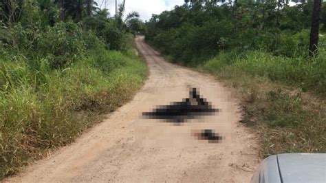 Corpo carbonizado é encontrado em estrada na Bahia BAHIA NO AR