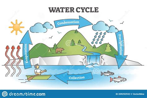 Diagrama Del Ciclo Del Agua Con El Concepto De Esquema De Explicación Simple De La Circulación