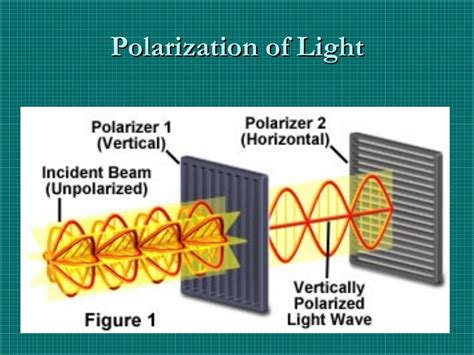 Polarization