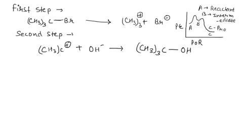 SOLVED Explain The Mechanism Of Alkaline Hydrolysis Of Tert Butyl