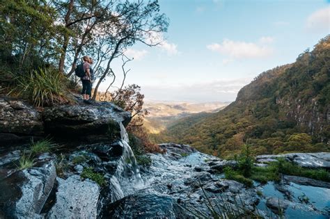 Guide to the waterfalls of Gondwana Rainforest | Queensland