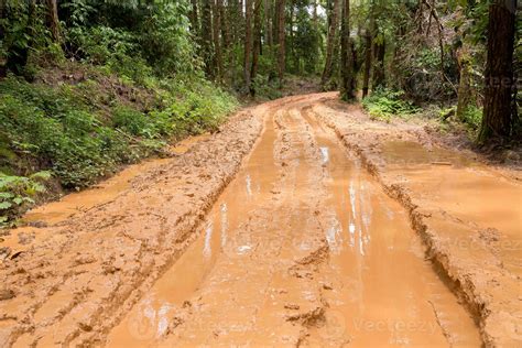 Muddy Wet Countryside Road In Chiang Mai Northern Of Thailand Track