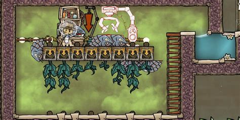 Oxygen Not Included How To Make Critters Wild Again Walton Theins