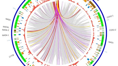 Understanding Complex Data Through Better Visualization J Craig