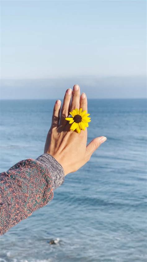 wave hand       stock video footage wave