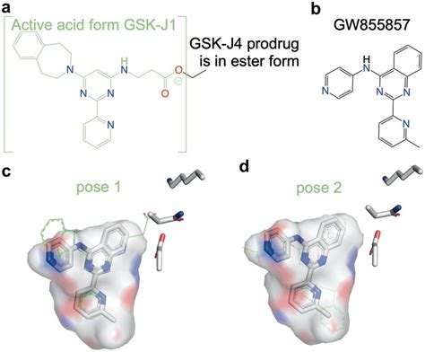 Structural similarity of the GSK J4 and the TβRI inhibitor GW855857 41