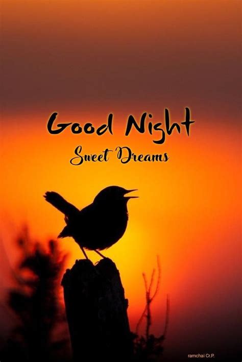 Pin By Red On Sweetest Of Dreams Good Night Friends Good Night Sweet