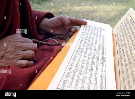 A Tibetan Buddhist Monk Reads A Traditional Buddhist Sutra Scripture