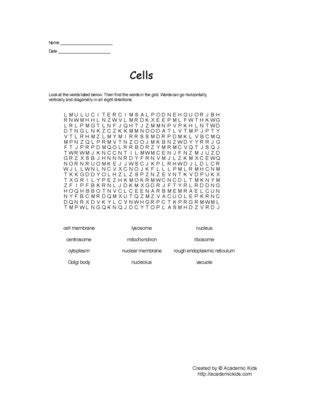 12 Best Images Of Cells Word Search Worksheet Cells Word Search