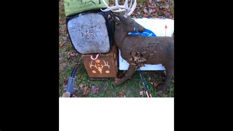 PA Deer Season Blues 2021 Shoot Bow Set Cameras YouTube