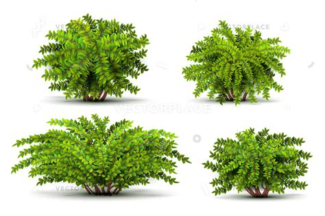 Shrub Vector at Vectorified.com | Collection of Shrub Vector free for ...