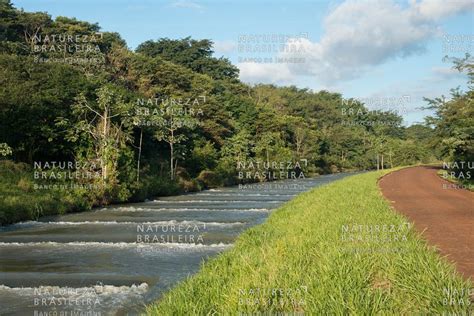 Natureza Brasileira Banco De Imagens Canal Da Piracema Usina