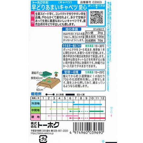 トーホク 野菜の種種子 キャベツ 早どりあまいキャベツ 愛心 種 （追跡可能メール便発送 全国一律370円）03969 Htt055