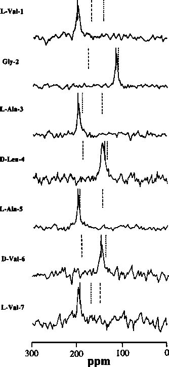 Figure 1 From Molecular Dynamics Computations And Solid State Nuclear