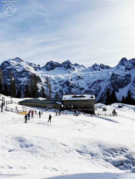 Escursione A Malga Maraia Dal Lago Di Misurina Casamontagna