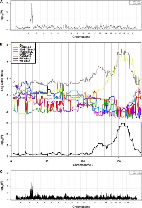 Mapping the agouti trait. (A) Genome-wide scan comparing agouti vs.... | Download Scientific Diagram