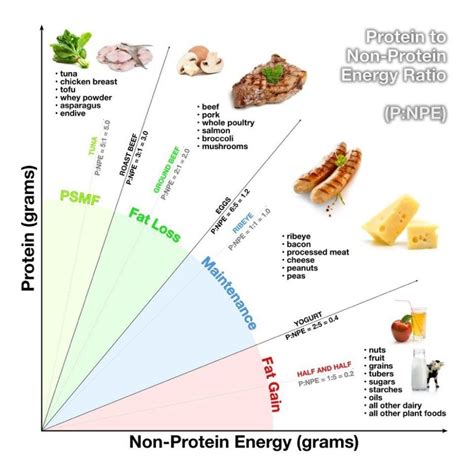 What Is A Protein Sparing Modified Fast