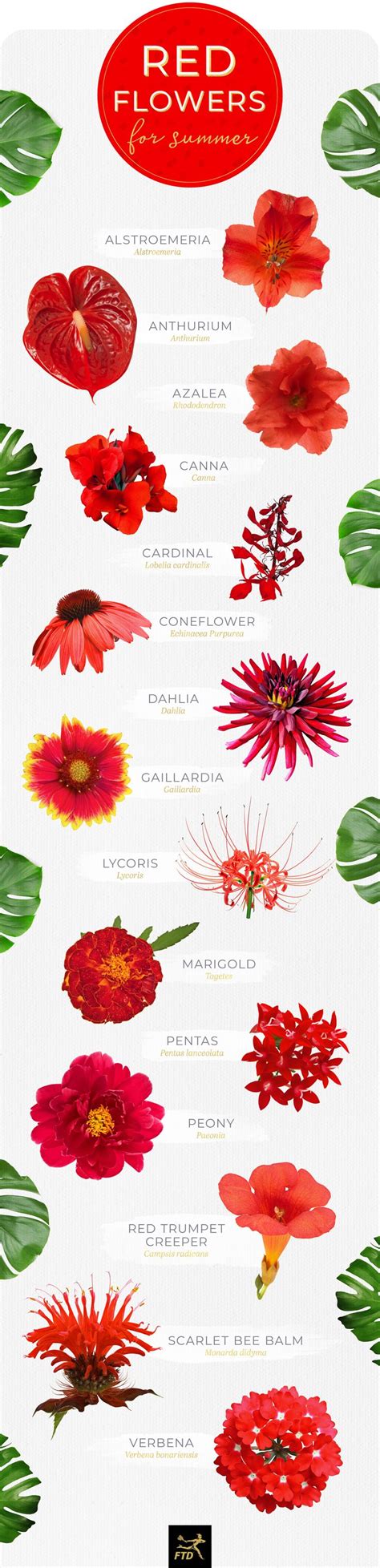 Types Of Red Plants