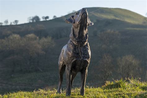 Bronze Labrador Sculpture Labrador Statue Labrador Garden Ornament