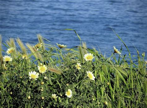 Weekend Di Primavera In Calabria Tempo Sereno E Temperature In Aumento