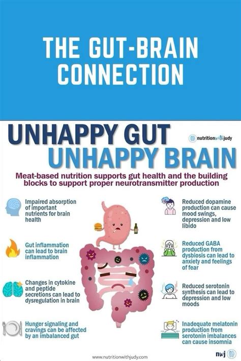 Gut Health And Mental Health Understanding The Gut Brain Connection