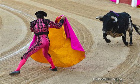 El Inevitable Declive De La Tauromaquia En América Latina Latinamerican Post