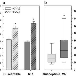 (a) Fructan concentration of susceptible and moderately resistant (MR ...