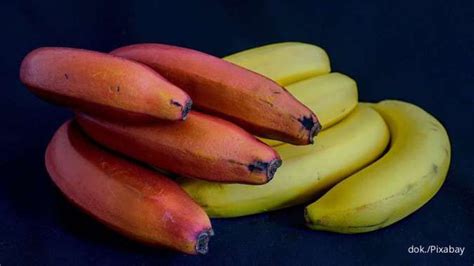 Ini 6 Manfaat Pisang Merah Untuk Kesehatan Yang Menarik Perhatian Untuk