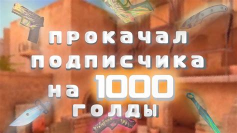 ПРОКАЧАЛ ПОДПИСЧИКА НА 1000 ГОЛДЫ Моя первая прокачка инвентаря