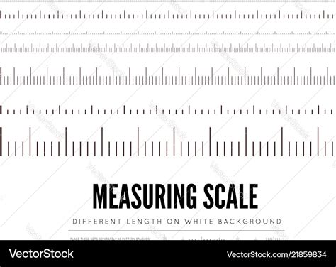 height scale vector images