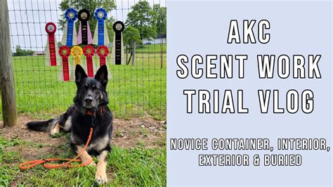 AKC Scent Work Trial Novice Container Interior Exterior And Buried