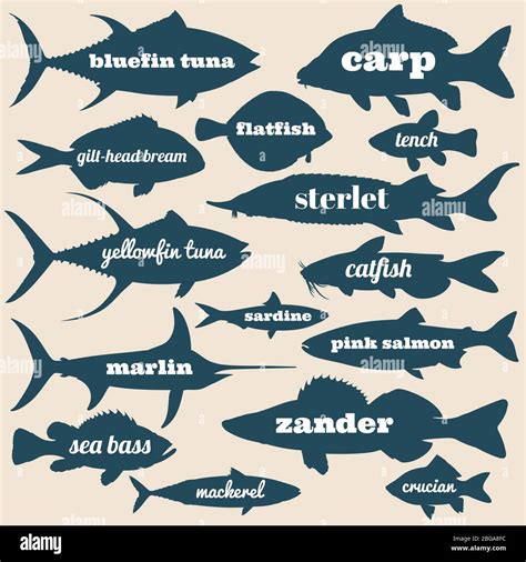 Different Types Of Fish With Names