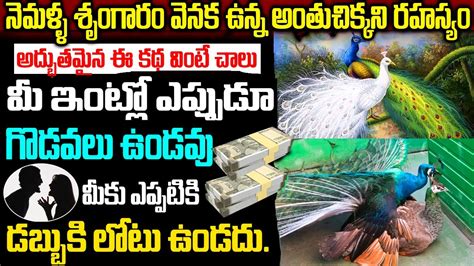 Interesting And Amazing Story In Telugu ఆడ మరయ మగ నమలక