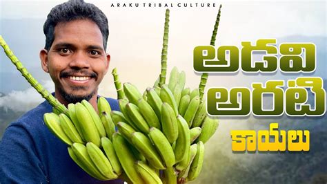 Wild Banana అడవి అరటి ఇవే అసలైన అరటి కాయలు అంటే నమ్ముతారా Araku