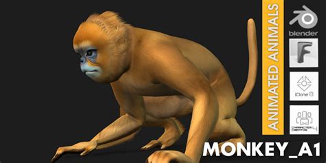 monkeya blender market