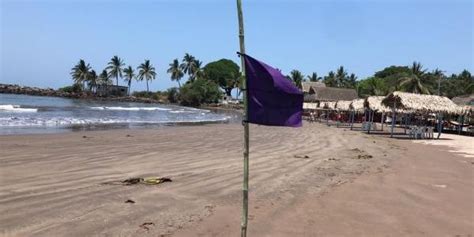 Por Presencia De Medusa Colocan Bandera Morada En Playas De San Blas