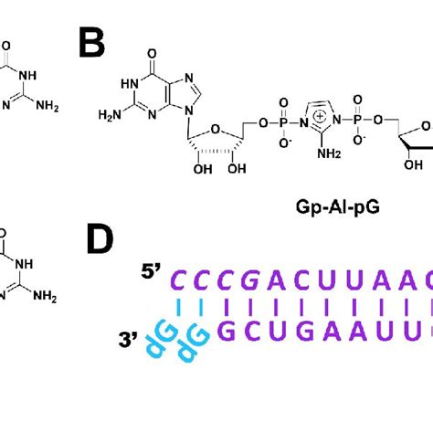 Chemical Structures Of Mononucleotide And Dinucleotide Molecules In