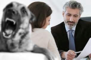 dog bite attorney