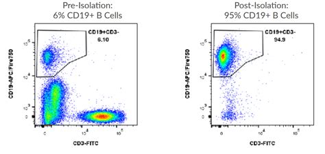 Akadeum Human B Cell Isolation Kit Isolate Human B Cells