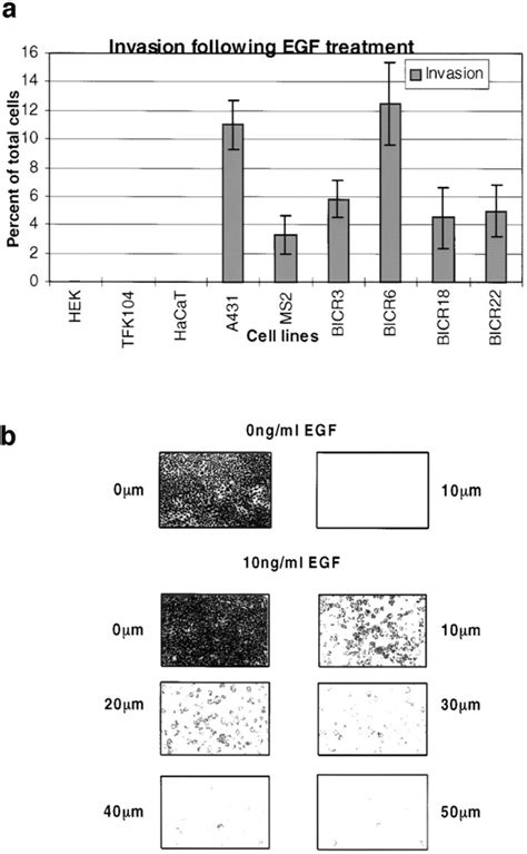 Invasion Response Of Normal Epidermal And SCC Derived Cell Lines A