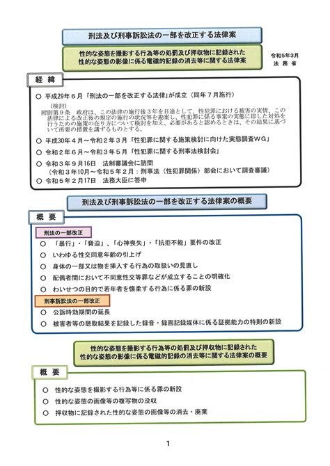 【政策解説】性犯罪刑事法改正案、修正の上衆議院で可決。参議院でも全会一致で可決・成立 立憲民主党