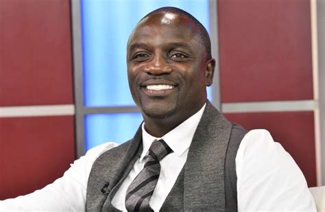 Akon Picture 73 2013 American Music Awards Arrivals